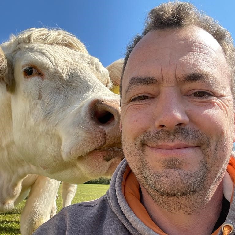 Ben Harman with a cow